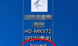 torrent文件如何播放 torrent文件